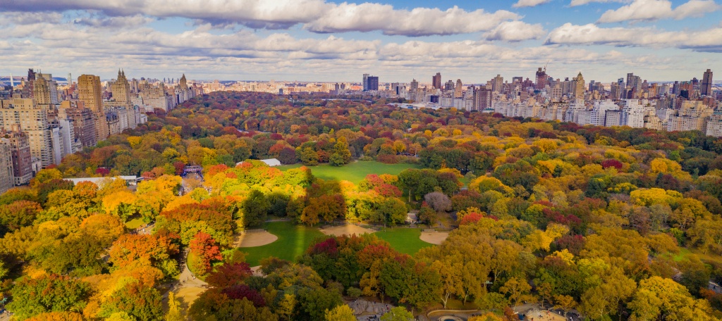 THE 13 BEST SPOTS TO ENJOY CENTRAL PARK IN THE FALL